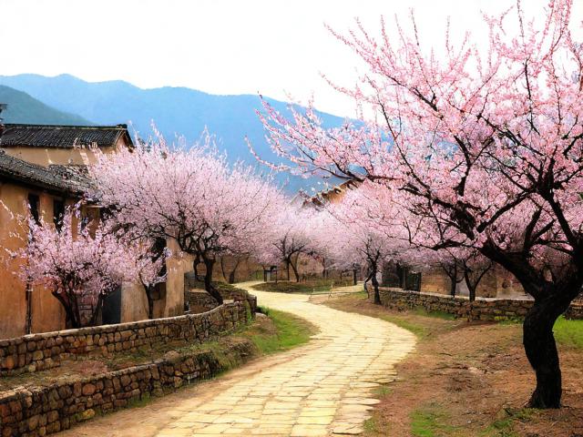 杏花村旅游景点有哪些必去推荐?