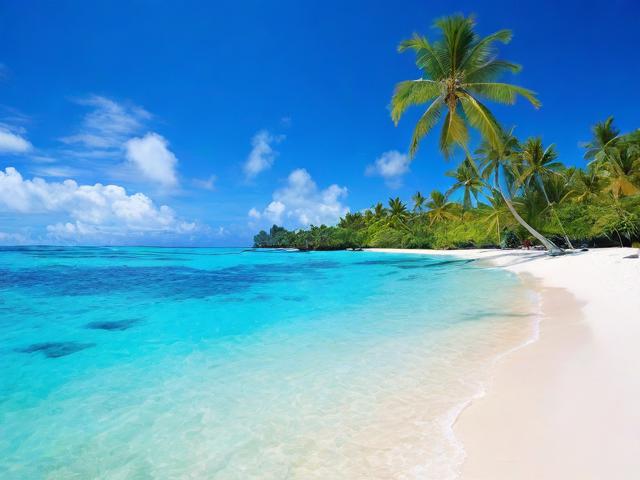 去芽庄旅游攻略,芽庄旅游攻略,如何规划一次完美的旅行?