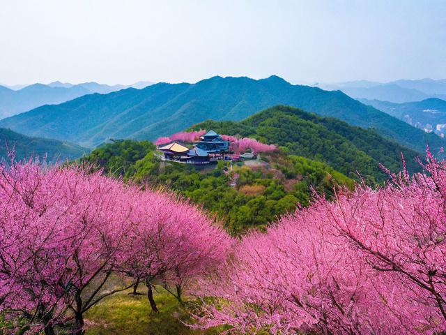 梅岭旅游攻略,如何规划一次完美的梅岭之旅?