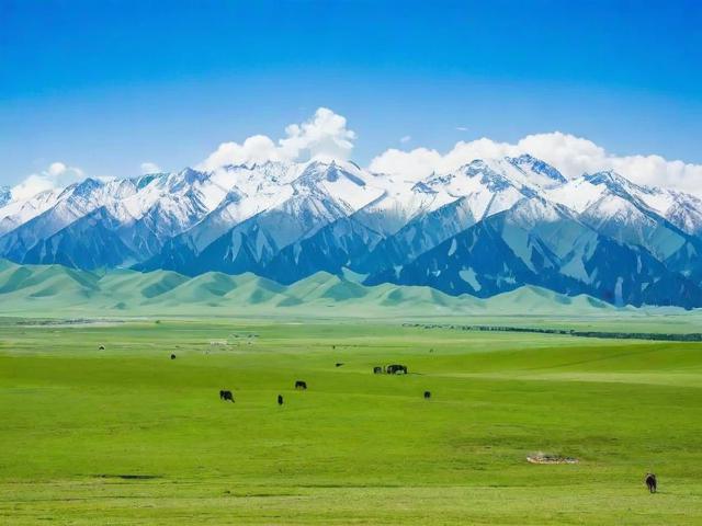 最近阿拉尔的旅游景点在哪里