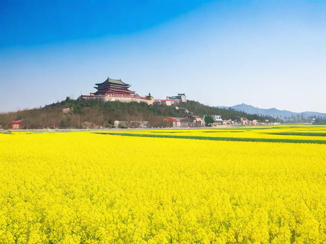 山东油菜花旅游景点有哪些？