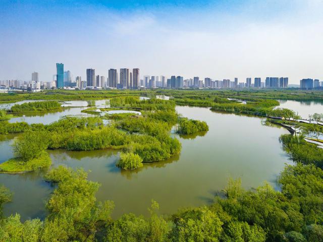合肥湿地公园游玩攻略