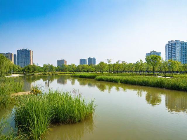 合肥湿地公园游玩攻略