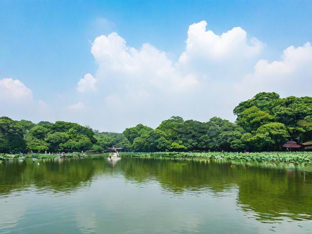 暑假杭州旅游攻略有哪些独特之处?