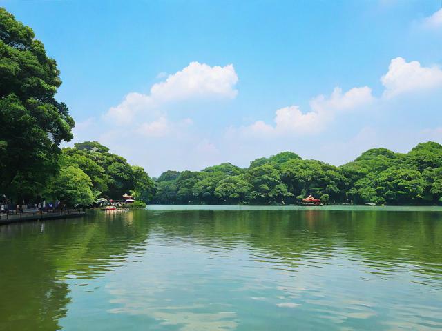 暑假杭州旅游攻略有哪些独特之处?