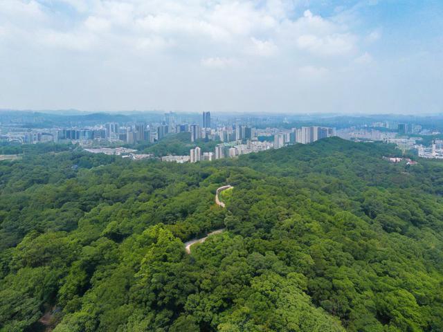 南昌梅岭游玩攻略,有哪些必去景点和美食推荐?