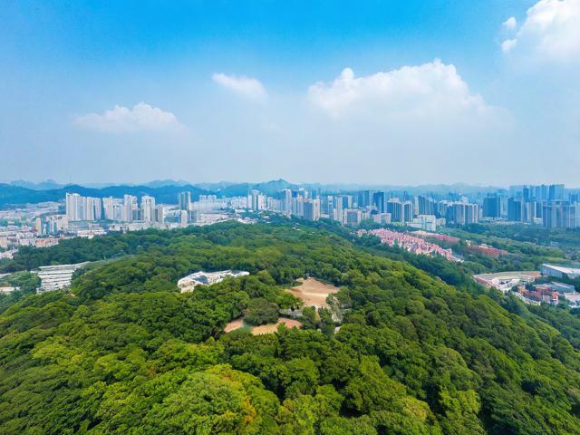 南昌梅岭游玩攻略,有哪些必去景点和美食推荐?