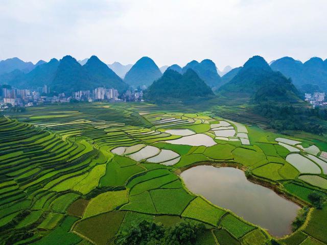 罗平新旅游景点在哪里啊