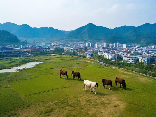 简阳养马镇的旅游景点在哪里