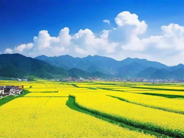 内黄旅游景点哪里好玩