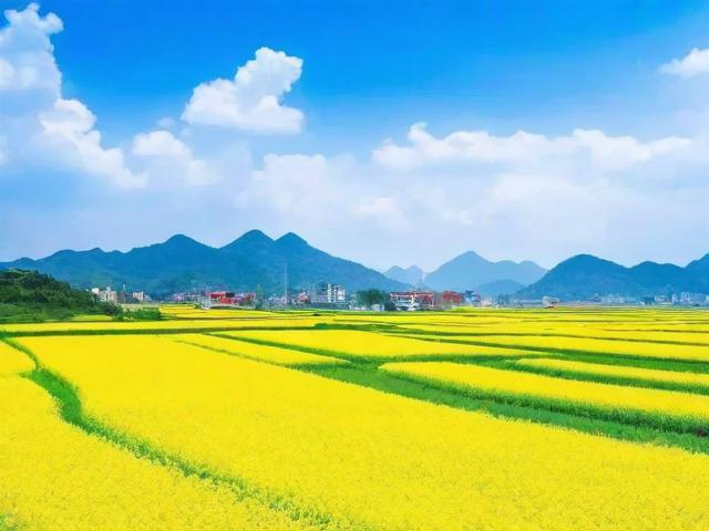 内黄旅游景点哪里好玩