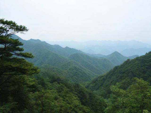 莽山攻略，莽山攻略，如何玩转这片神秘之地？