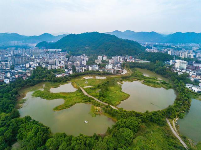 醴陵旅游攻略,有哪些不容错过的景点和美食?