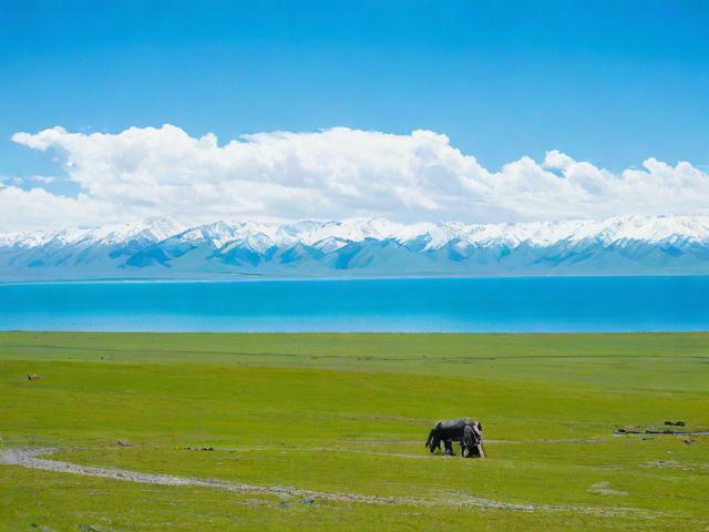 阿勒泰旅行攻略,有哪些必去景点和特色体验?
