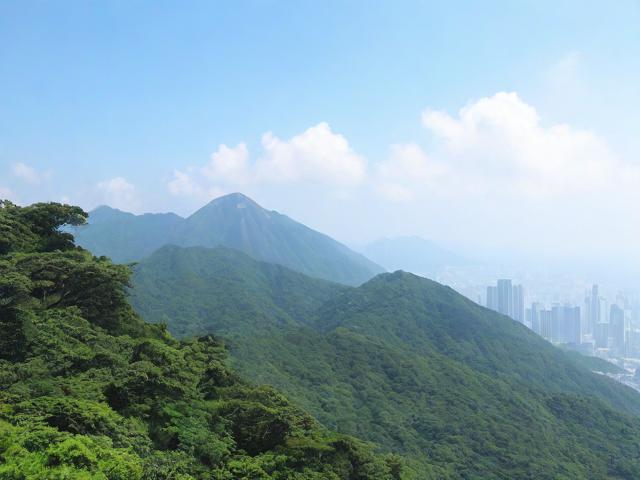 深圳羊台山攻略,如何规划一次完美的登山之旅?