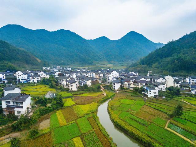 溪头村游玩攻略,有哪些必去景点和特色体验?