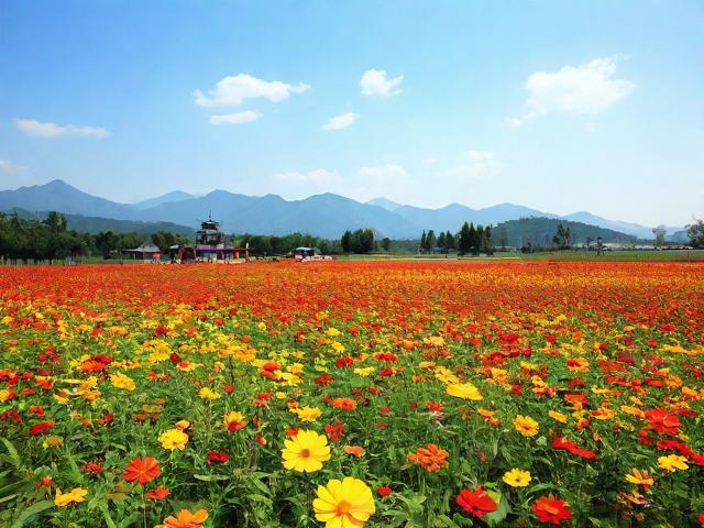 附近花海旅游景点有哪些值得一游?