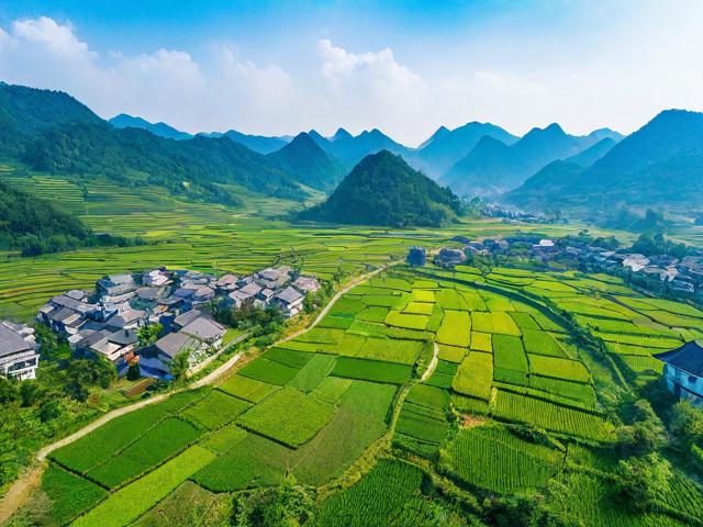 乡村旅游攻略,如何规划一次完美的乡村之旅?