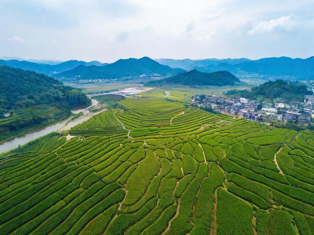 桂东旅游攻略,桂东旅游攻略,如何玩转这片美丽的土地?