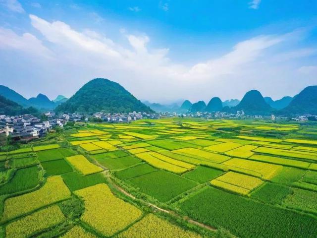 明仕田园旅游攻略,有哪些必去景点和体验?