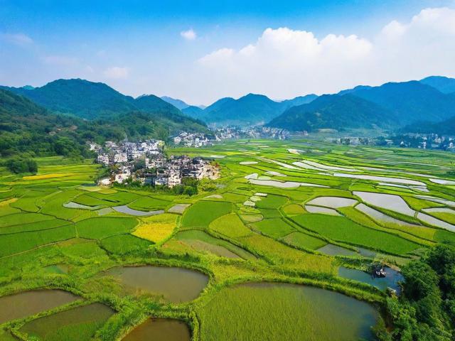 明仕田园旅游攻略,有哪些必去景点和体验?