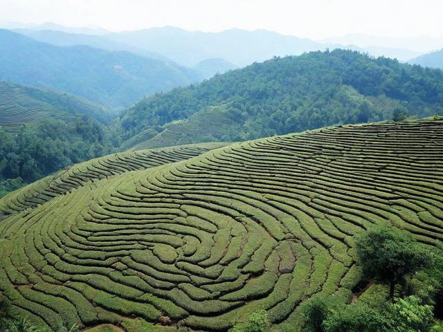普洱旅游攻略,如何规划一次完美的普洱之旅?