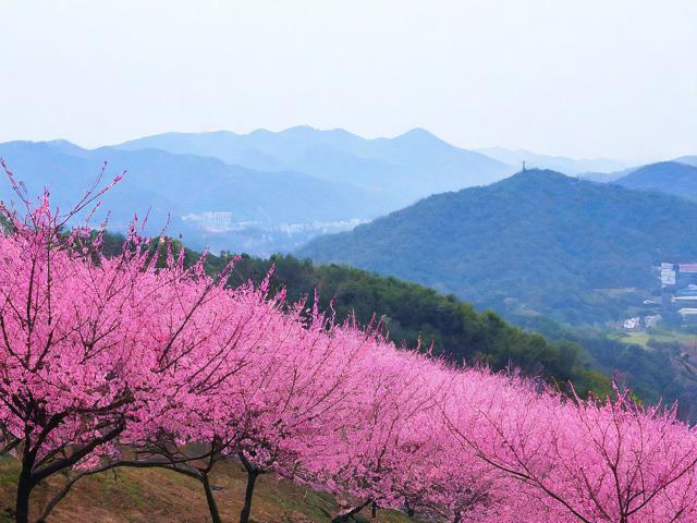 梅岭旅游开发停滞不前?解析其背后原因与挑战