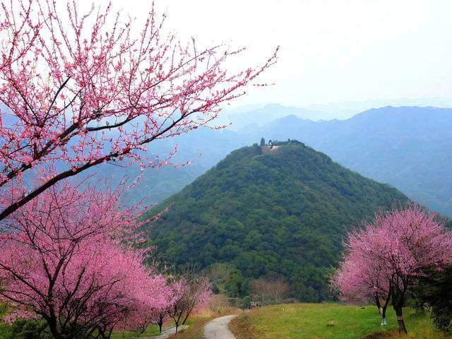 梅岭旅游开发停滞不前?解析其背后原因与挑战