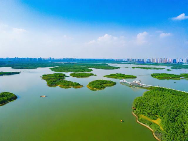 洪湖旅游景点大全