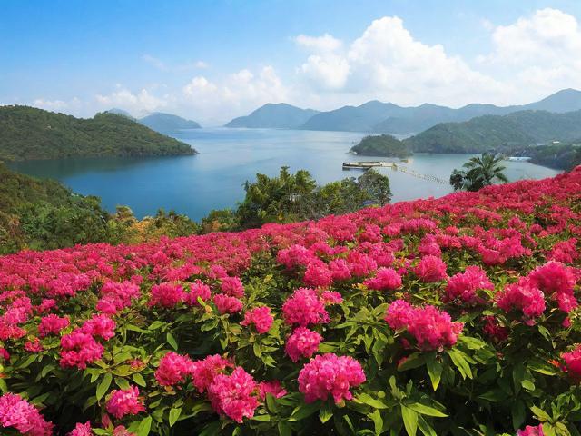 旅游资讯片花(旅游视讯)