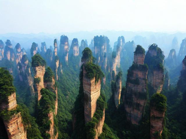 张家界旅游资讯信息网(张家界旅游资讯信息网官网)