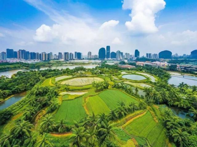 南宁明仕田园旅游攻略,有哪些必玩景点和体验?