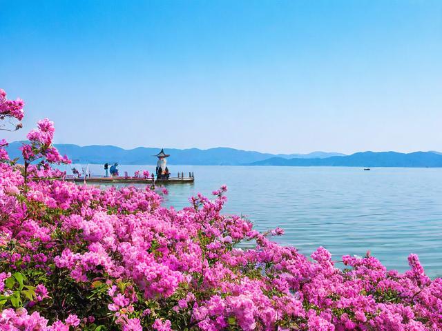 太湖旅游景点有哪些必看花卉？推荐赏花攻略