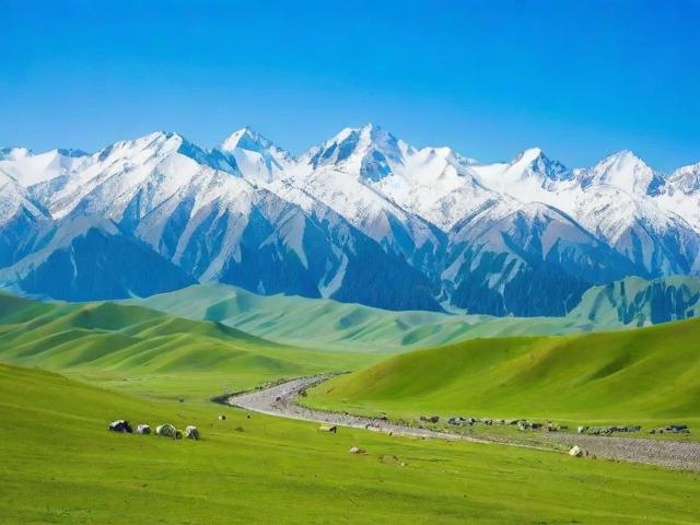 6月去新疆旅游有哪些必玩景点和注意事项？