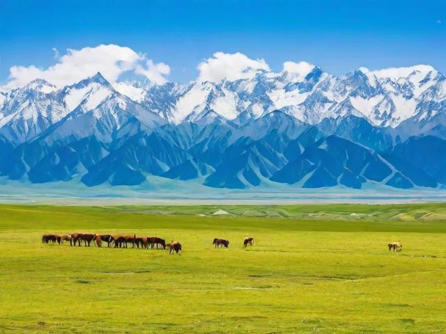 6月去新疆旅游有哪些必玩景点和注意事项?