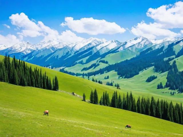 北疆旅游攻略,有哪些必去景点和美食推荐?