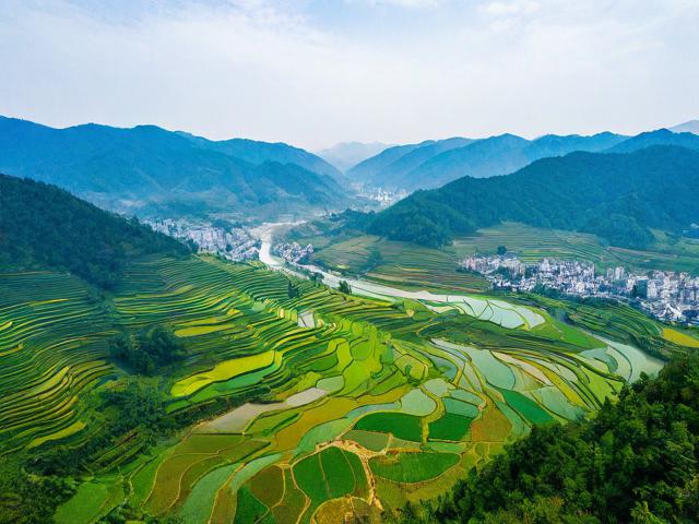罗平县旅游景点有哪些值得一去?