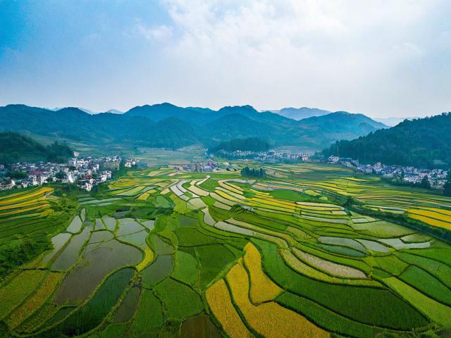 新田附近有哪些推荐的旅游景点？