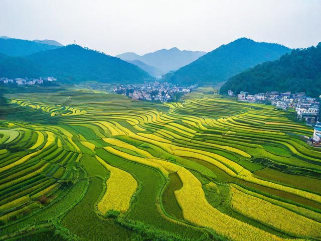 新田附近有哪些推荐的旅游景点?