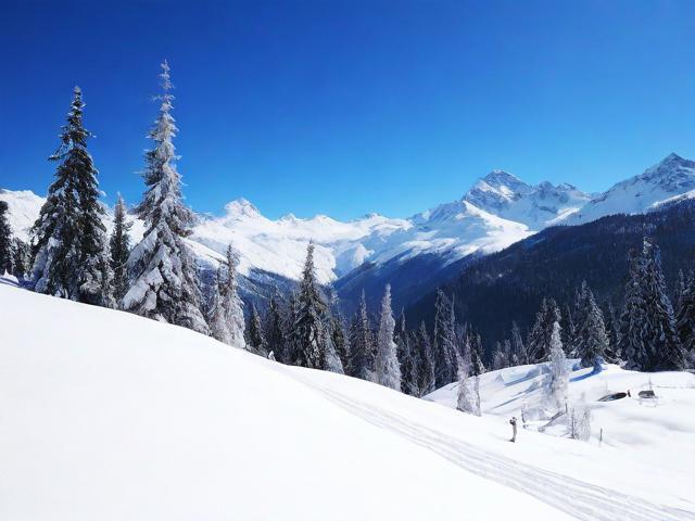 雪谷旅游攻略,雪谷在哪?有哪些独特景点和游玩项目?