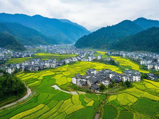 绥阳旅游攻略,有哪些必去景点和美食推荐?