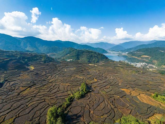 云南普洱旅游景点