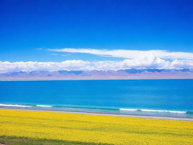 青海湖旅游资讯(青海湖旅游资讯网)