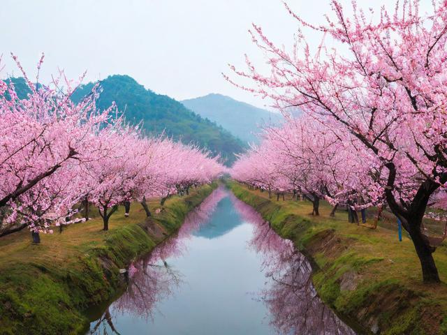 桃花源旅游攻略,此地是否真如传说般神秘美好?