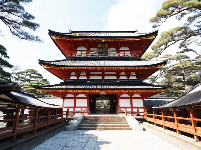 京都旅行攻略,如何规划一次完美的古都探索之旅?