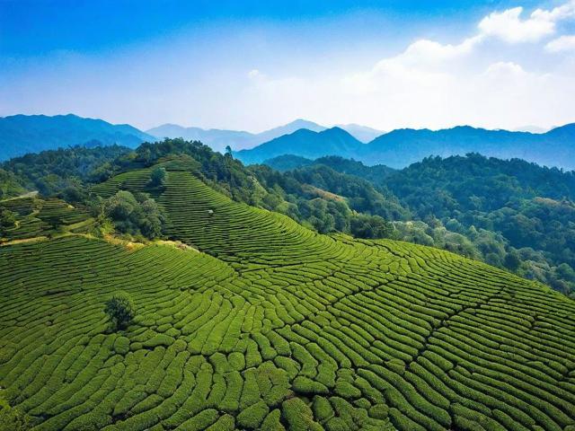 普洱十大旅游景点,究竟有哪些独特魅力让人流连忘返?