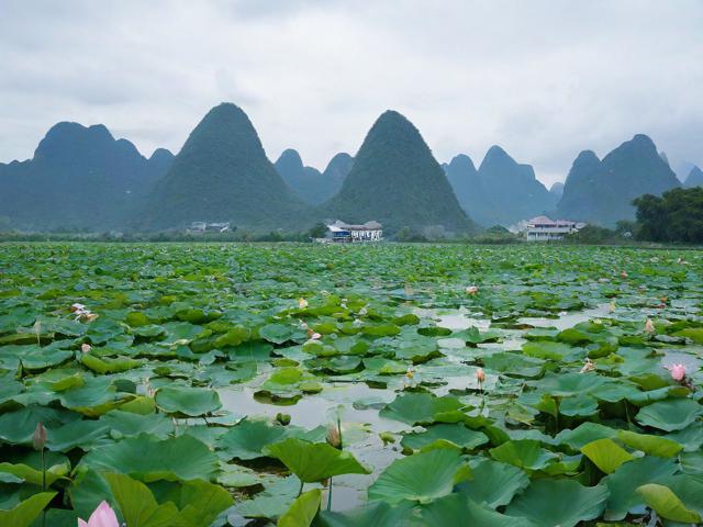 普者黑旅游攻略