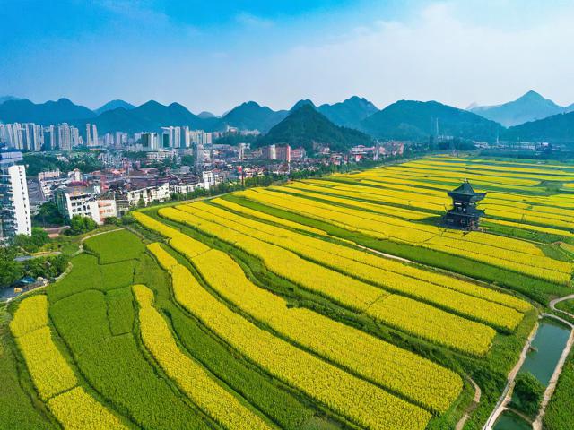嘉禾旅游景点有哪些值得一去的好去处?