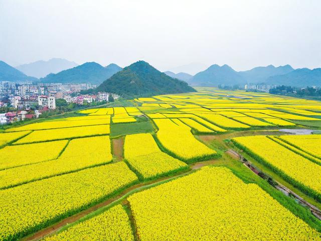 嘉禾旅游景点有哪些值得一去的好去处?