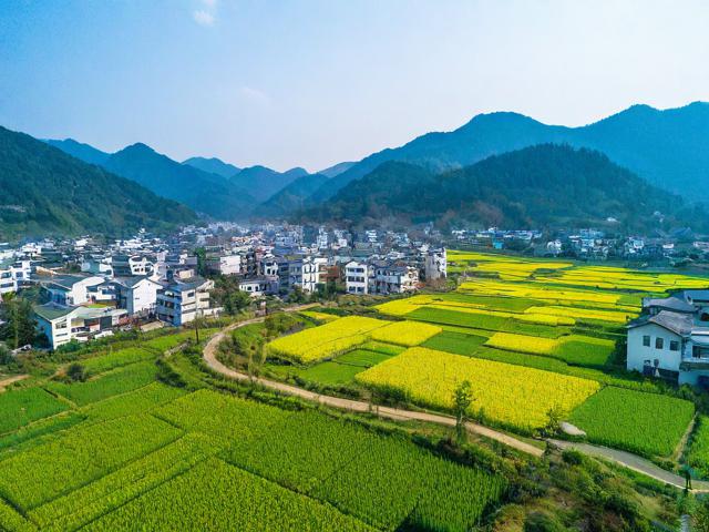 黄家村有哪些特色产业和旅游景点？